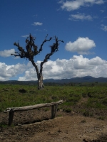 Cascadas Naturales_11