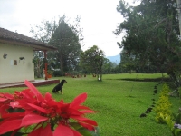 Hotel Camping_8