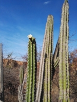 Tour desierto de la Tatacoa_17