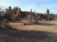 Tour desierto de la Tatacoa_21