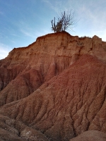Tour desierto de la Tatacoa_42