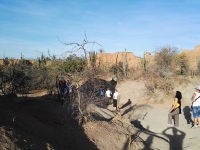 Tour desierto de la Tatacoa_9
